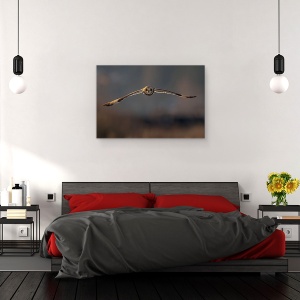 Tablou canvas - Zbor Spre Mine, Pasare, Salbatic, Bufnita, Iarna, 80 x 120 cm - Img 3