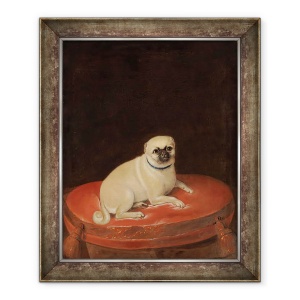 Tablou inramat - Anonymous - Pug, 50 x 60 cm