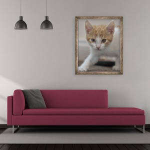 Tablou inramat - Ant Smith - Urmarire pisoi, 2020, 50 x 60 cm - Img 2