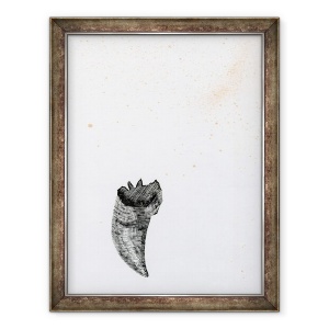 Tablou inramat - Bella Larsson - Dinte {Fay-erie praf}, 70 x 90 cm