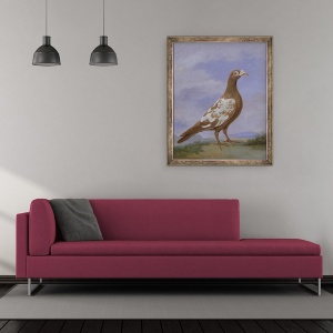 Tablou inramat - D. Wolstenholme the Younger - Porumbelul Rosu Pied, 70 x 85 cm - Img 2