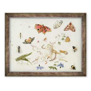 Tablou inramat - Ferdinand van Kessel - Studiul insectelor si florilor, 70 x 90 cm
