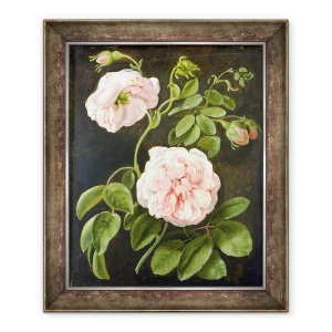 Tablou inramat - Johann Friedrich August Tischbein - Studiu de flori I, 50 x 60 cm