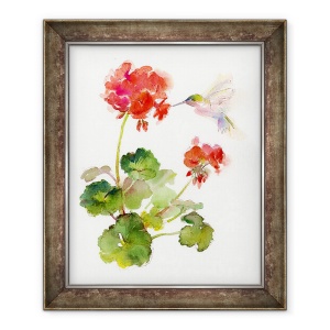 Tablou inramat - John Keeling - Hummingbird cu Geranium, 2015, 50 x 60 cm