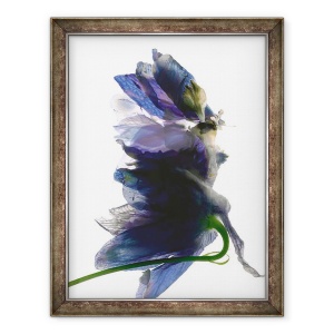 Tablou inramat - Julia McLemore - Dansul Delphinium, 2009, 70 x 90 cm