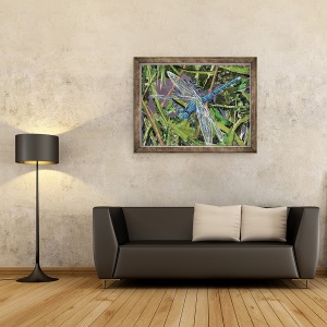 Tablou inramat - Kirstie Adamson - Blue Dragonfly, 70 x 90 cm - Img 2