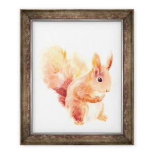 Tablou inramat - Laura Dennis - Squirrel, 50 x 60 cm