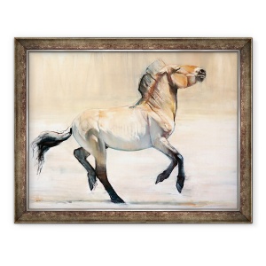 Tablou inramat - Mark Adlington - Equus Przewalski, 2014, 70 x 90 cm