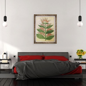 Tablou inramat - Scoala franceza - Gentiana cu flori imaginare, 70 x 90 cm - Img 3