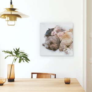Tablou canvas - 0, Portret, Animale, Urs, Femeie, 60 x 60 cm - Img 4