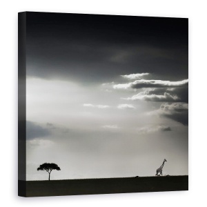 Tablou canvas - 15 Minute De Fericire, Kenya, Masai, Mara, Africa, 90 x 90 cm