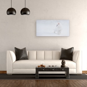 Tablou canvas - Alba Ca Zapada, Pisica, Iarna, Pet, Animal, 50 x 100 cm - Img 2