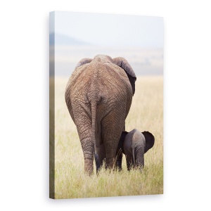 Tablou canvas - Am Plecat, Salbatic, Salbatic, Natura, Animale, Elefant, 60 x 90 cm
