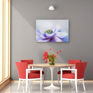 Tablou decorativ canvas cu anemone de Caen, 60x90 cm