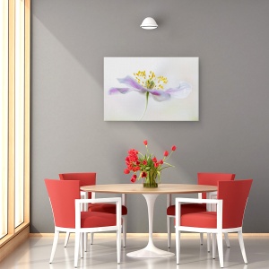 Tablou canvas - Anemone Din Lemn, Floare, Flora, Floral, Macro, Vara, 60 x 90 cm - Img 4