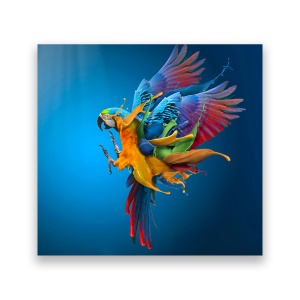 Tablou Canvas - Animal, Papagal, Culori, 60 x 60 cm