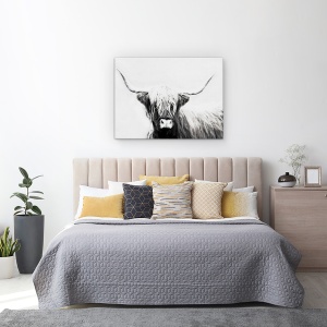 Tablou canvas - Animale, Bovine Highland Scotiene, Alb-Negru, 75 x 100 cm - Img 3