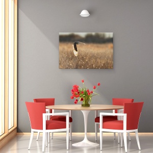 Tablou canvas - Aripa Iluminata, Pasare, Bufnita, Apus De Soare, Zbor, Salbatic, 80 x 120 cm - Img 4