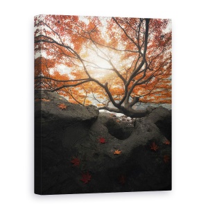 Tablou canvas - Artar, Perspectiva, Copac, Toamna, 75 x 100 cm