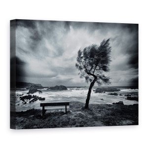 Tablou canvas - Astazi Nimeni, Vant, Alb-Negru, Suflare, 75 x 100 cm