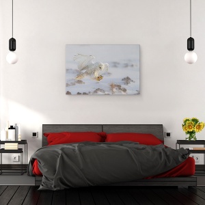 Tablou canvas - Aterizare, Bufnita, Zbor, Aterizare, Biban, Zapada, 40 x 60 cm - Img 3
