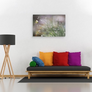 Tablou canvas - Aterizare Iminenta, Macro, Fluture, Fauna, Insecta, Iarba, Inchis, 80 x 120 cm - Img 2