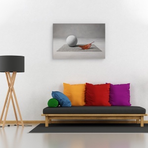 Tablou canvas - Aterizare Pe Luna, Gri, Frunza, Zen, Gradina Zen, Frunze, Toamna, 40 x 60 cm - Img 2