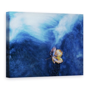 Tablou canvas - Aterizarea, Frunza, Toamna, Albastru, Abstract, 75 x 100 cm