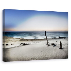 Tablou canvas - Atinge Soarele, Nisip, Dune, Lemn De Plus, Plaja, Peisaj, 40 x 60 cm
