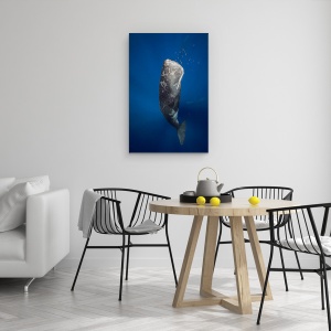 Tablou canvas - Balena In Lumina, Sub Apa, Cetacee, 40 x 60 cm - Img 4
