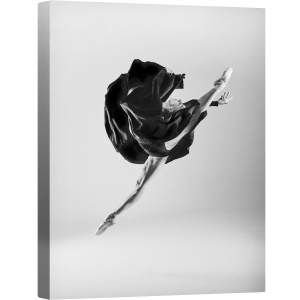 Tablou canvas - Balerina, Balet, Balerina, Dansator, Alb-Negru, Studio, 50 x 70 cm