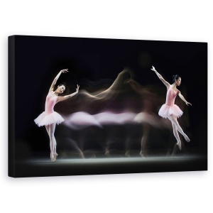 Tablou canvas - Balerina Gratioasa, Balet, Miscare, Viteza, Roz, 50 x 80 cm