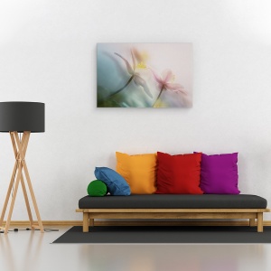 Tablou canvas - Bland, Bosanemoon, Floare, Moale, Anemone, Nemorosa, 40 x 60 cm - Img 2