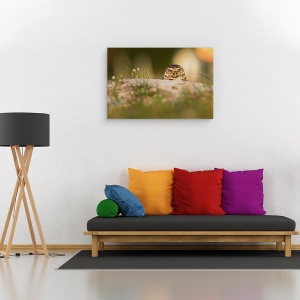 Tablou canvas - Bufnita De Vizuina, Natura, Pasare, Salbatic, Florida, 40 x 60 cm - Img 2