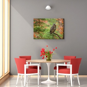 Tablou canvas - Bufnita Euroasiatica, Padure, Salbatic, Natura, 40 x 60 cm - Img 4
