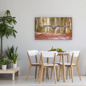 Tablou canvas - Bufnita Gri, Pasare, Zbor, 50 x 80 cm - Img 4