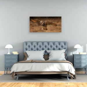 Tablou canvas - Bufnita Mare Cu Coarne, Panorama, 50 x 100 cm - Img 3