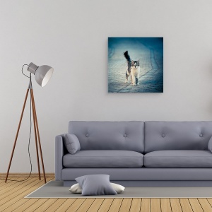 Tablou canvas - Bufnita Mica, Pisica, Thasos, Pet, Dragut, Animal, 60 x 60 cm - Img 2