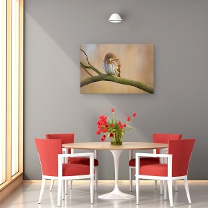 Tablou canvas - Bufnita Pitica, Dragut, Pasare, Salbatic, 40 x 60 cm - Img 4