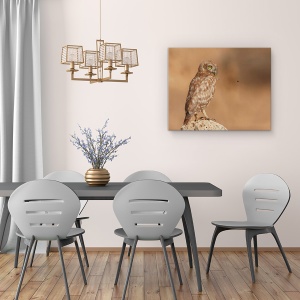Tablou canvas - Bufnita Vs Albine, Pasare, 60 x 75 cm - Img 4