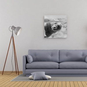 Tablou canvas - Bule, Australia, Urs Polar, Sub Apa, Balon, 90 x 90 cm - Img 2