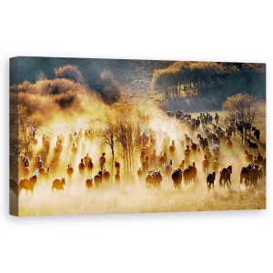 Tablou canvas - Cai, Mongolia, Cai, Apus De Soare, China, Cal, 50 x 100 cm