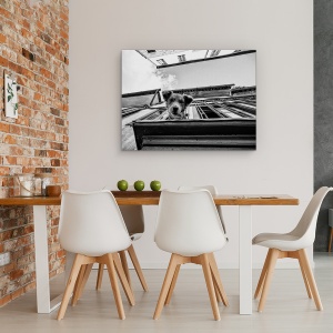 Tablou canvas - Caine, Strada, Caine, Fata, Perspectiva, Caini, 50 x 70 cm - Img 4