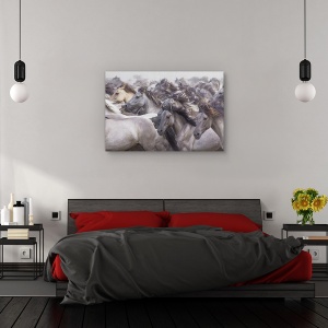 Tablou canvas - Cal salbatic, Nature, 60 x 90 cm - Img 3