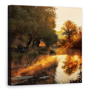 Tablou canvas - Cand Peisajul Picteaza Cu Lumina , Ceata, Toamna, Ray, 60 x 60 cm