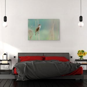 Tablou canvas - Cantaretul Din Stuf, Reed, Rau, Pasare, Canta, Parco, 60 x 90 cm - Img 3