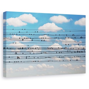 Tablou canvas - Cantus Arcticus - Concertul pentru pasari, Peisaj, Pasari, Nori, Cer, 80 x 120 cm