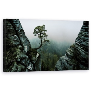 Tablou canvas - Ceata, Copac, Ceata, Stanci, Vale, 50 x 100 cm