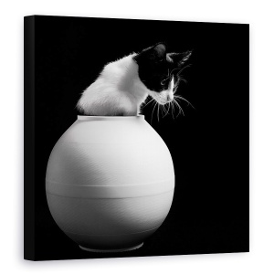 Tablou canvas - Chanel, Pisicuta, Vaza, Franta, Paris, 90 x 90 cm