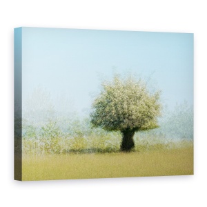 Tablou canvas - Copac Cu Flori, Iarba, Camp, 75 x 100 cm